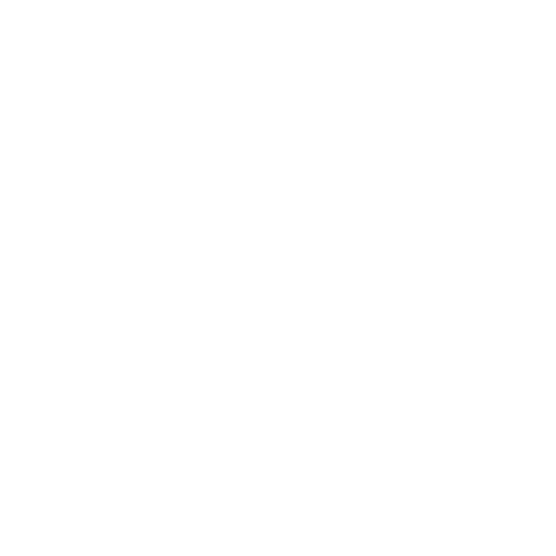 NeuroWI$E Financial logo - white